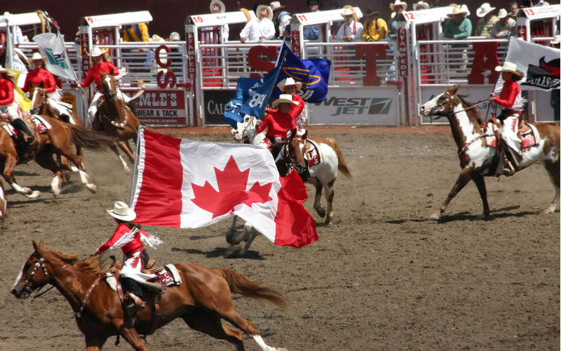 calgary stampede