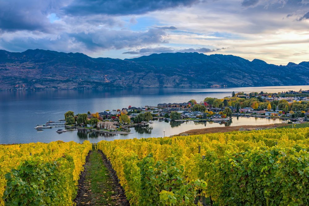 Reasons To Move To Kelowna British Columbia Great Canadian Van Lines