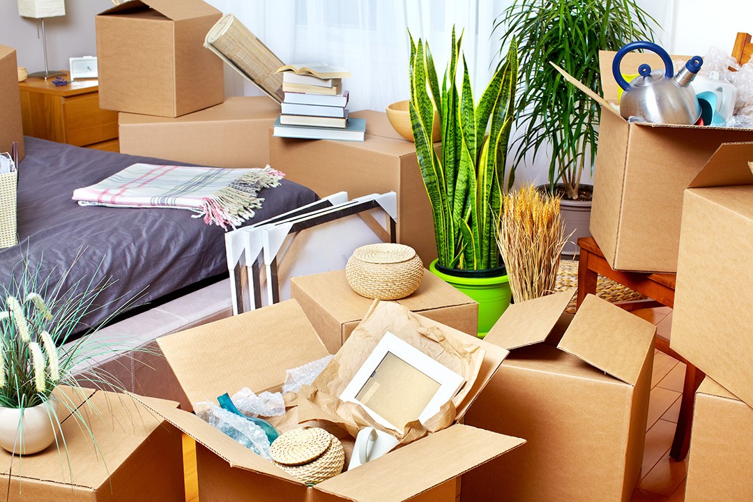 Moving Companies London Ontario